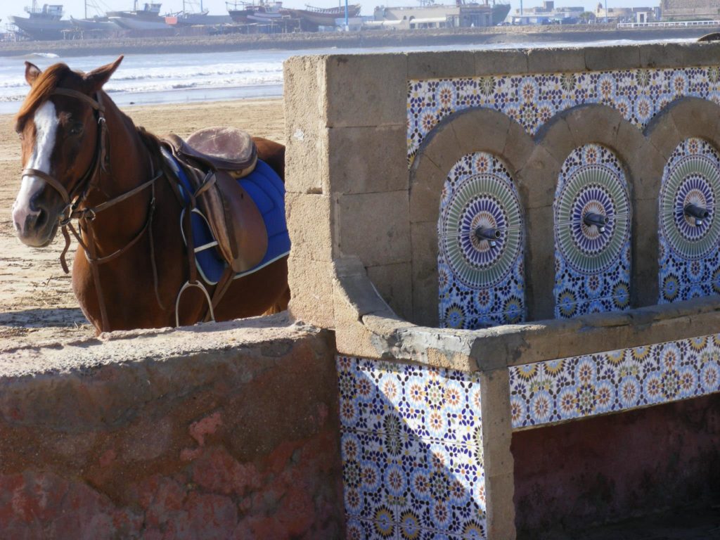 Essaouira Beach