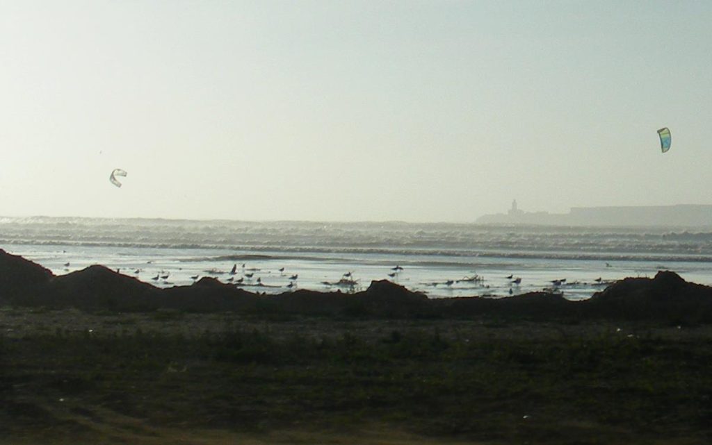 Kite flying on Essaouira Beach