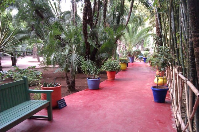 Le Jardin Majorelle.