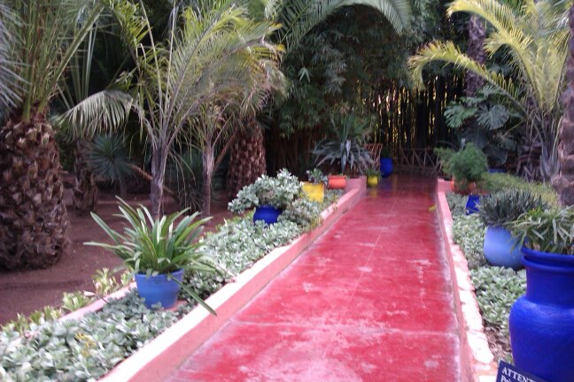 Le Jardin Majorelle.