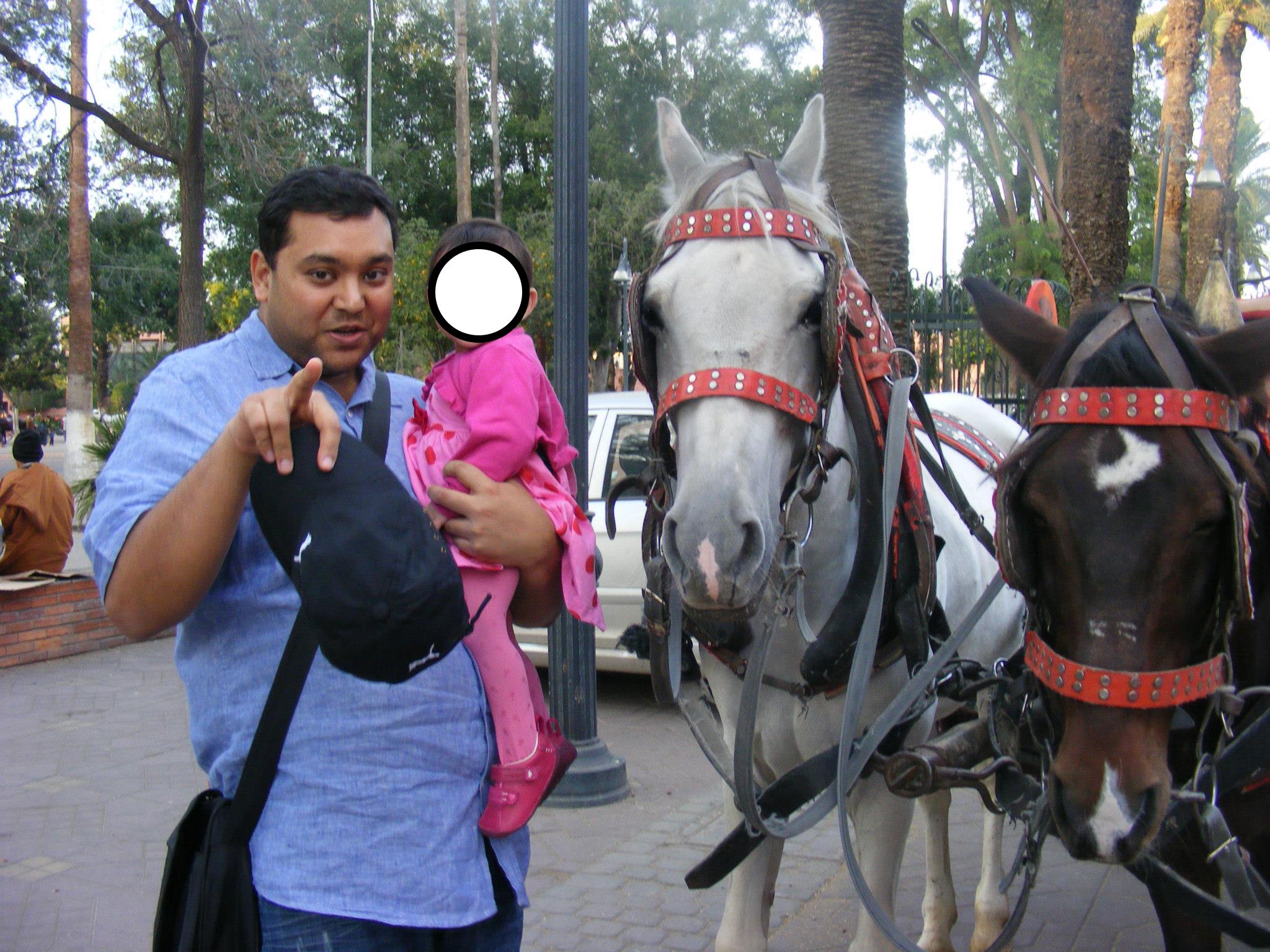 Djemaa El-Fna horses