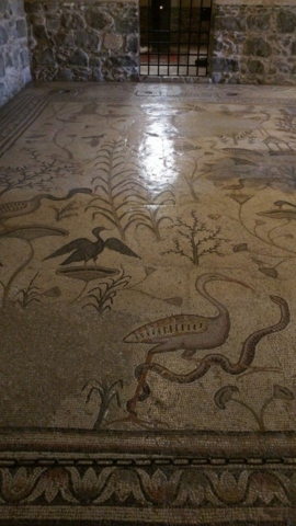 Mosaic floor inside Church of the Loaves and Fishes, in Tabgha.