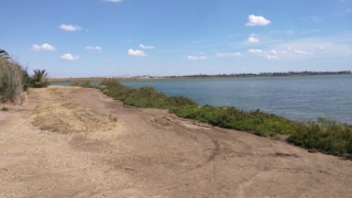 Larnaca Salt Lake, at the location of the Umm Haram Masjid.