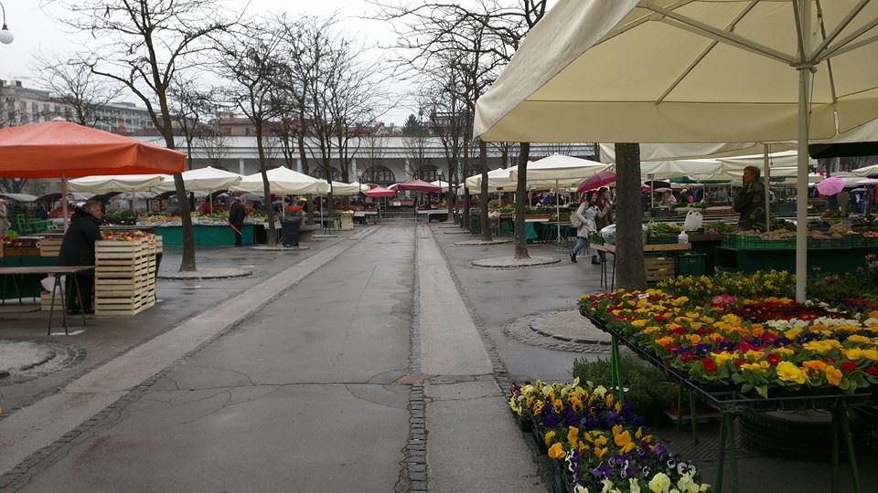 Ljubljana open air market