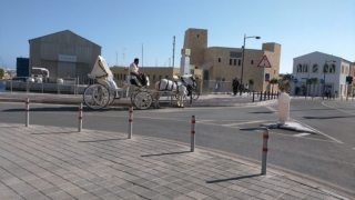 At Limassol Harbour.