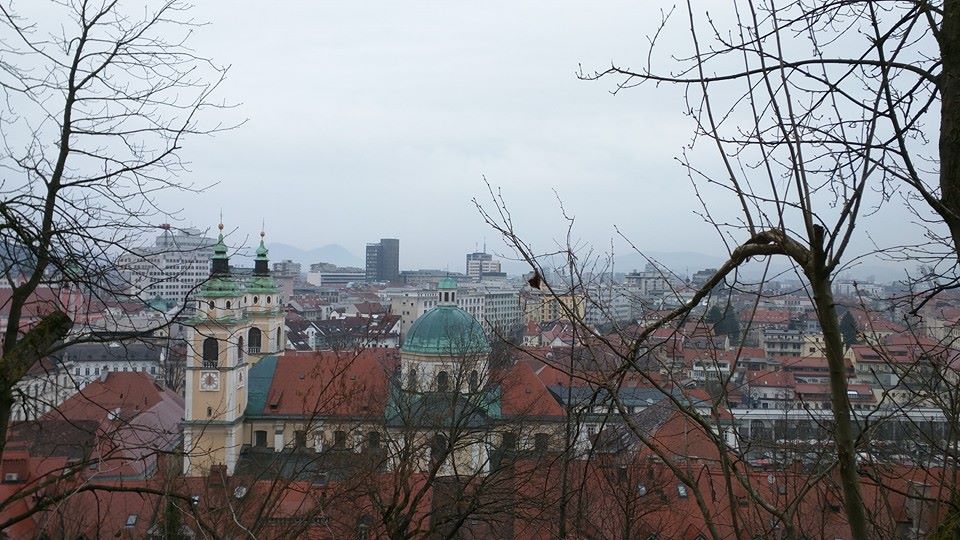 Ljubljana Cathedral