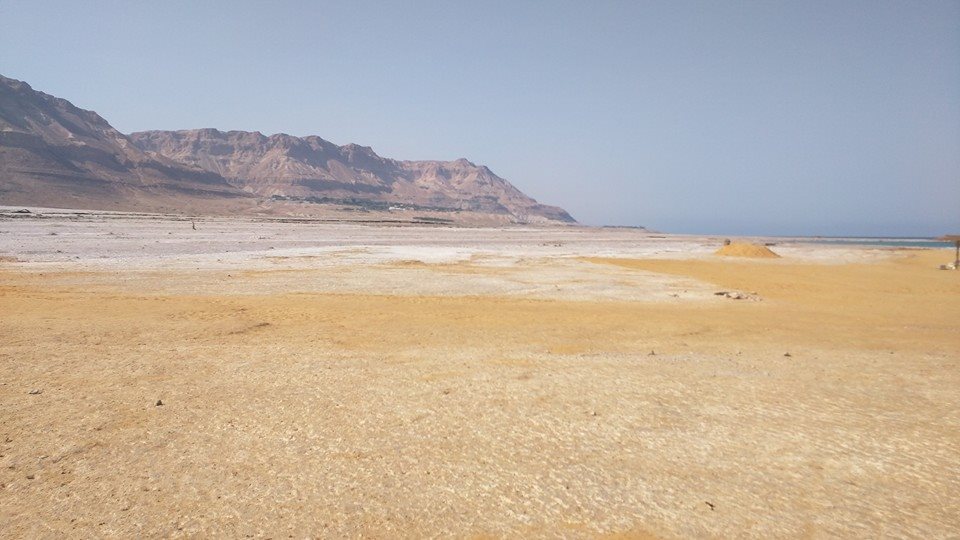 Ein Gedi