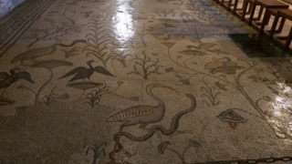 Mosaic floor inside Church of the Loaves and Fishes, in Tabgha.