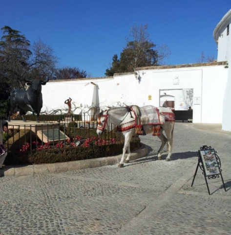 Outside the bullfighting stadium