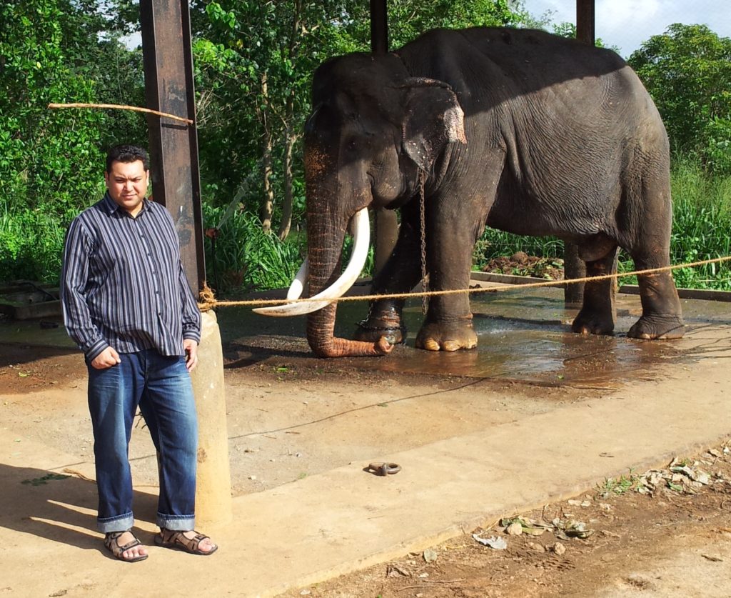 Tusker the blind Elephant