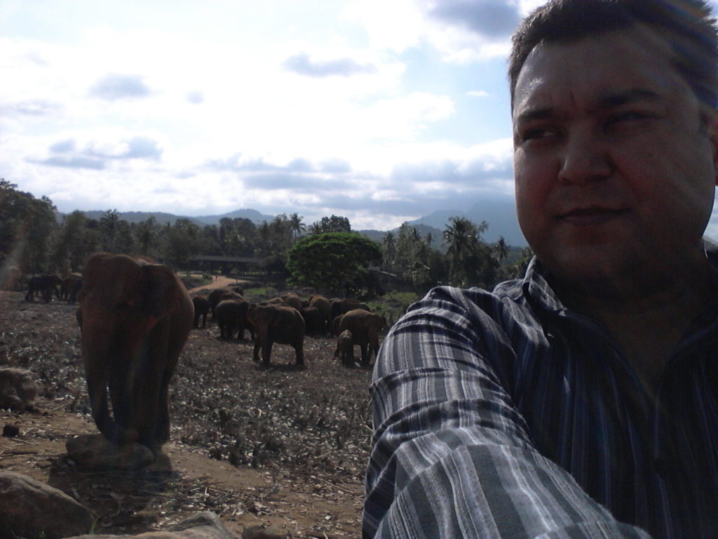 Pinnawala Elephant Sanctuary