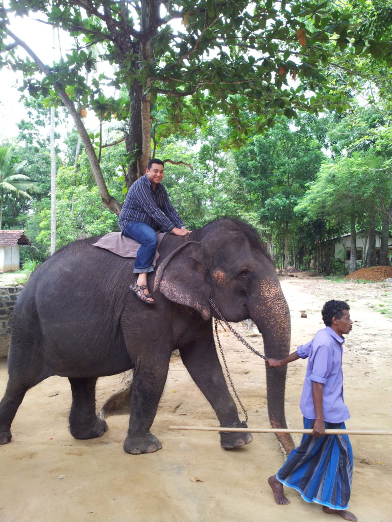 Elephant ride, Pinnawala