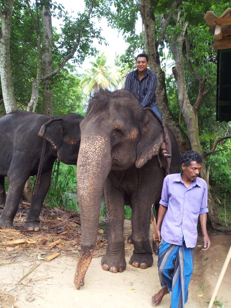 Elephant ride, Pinnawala