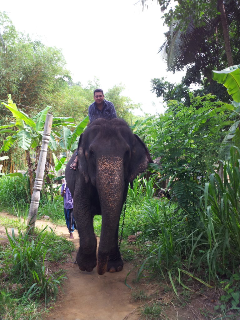 Elephant ride, Pinnawala