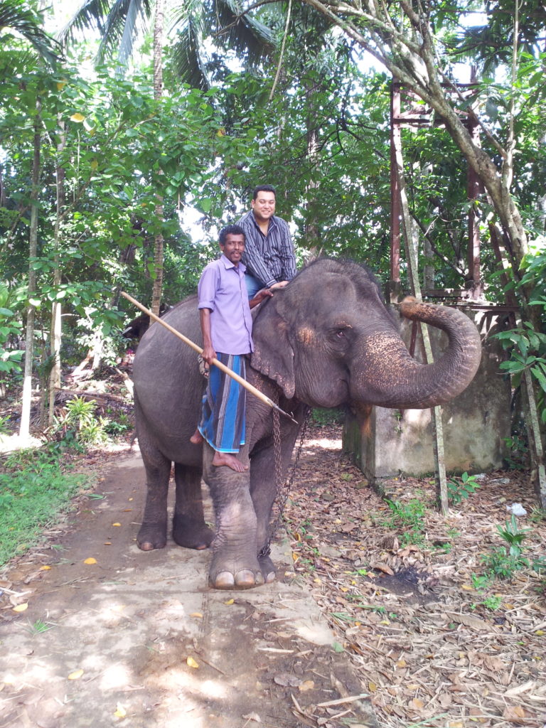 Elephant ride, Pinnawala