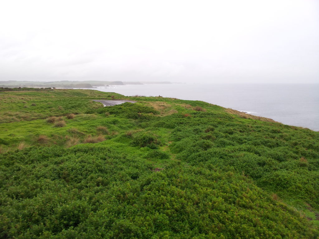 Phillip Island, Victoria