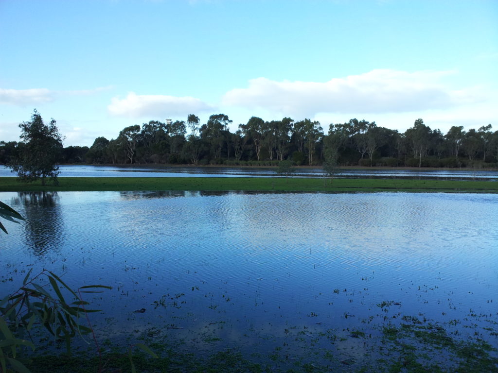 Sunset at Serendip Sanctuary.