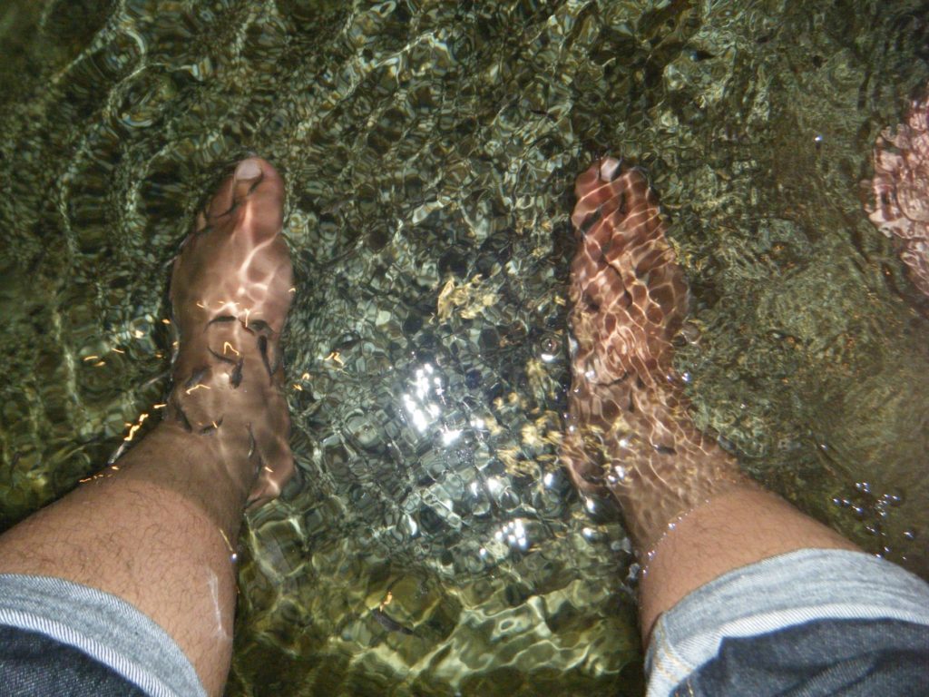 "Pirhana Pedicure" in Kuala Lumpur's aquarium