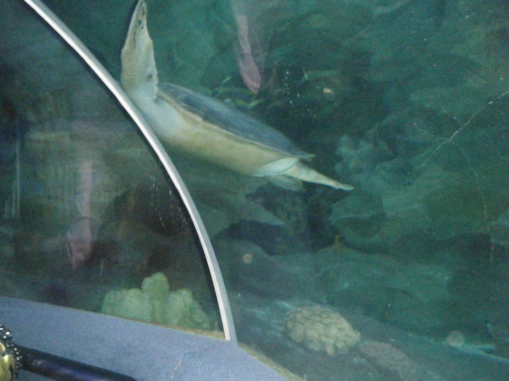 Kuala Lumpur Aquarium
