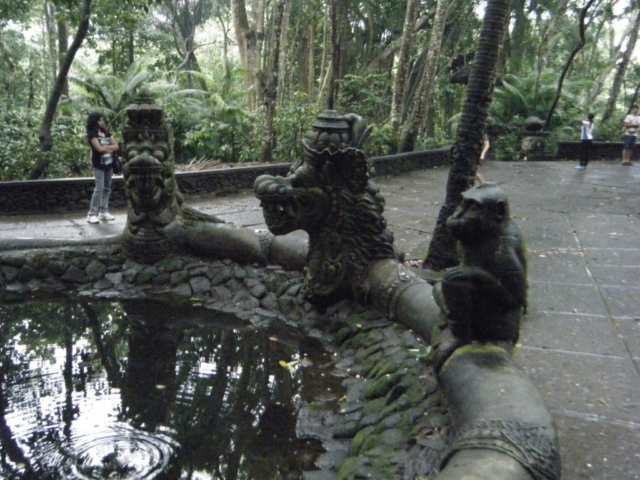 monkey park in Bali