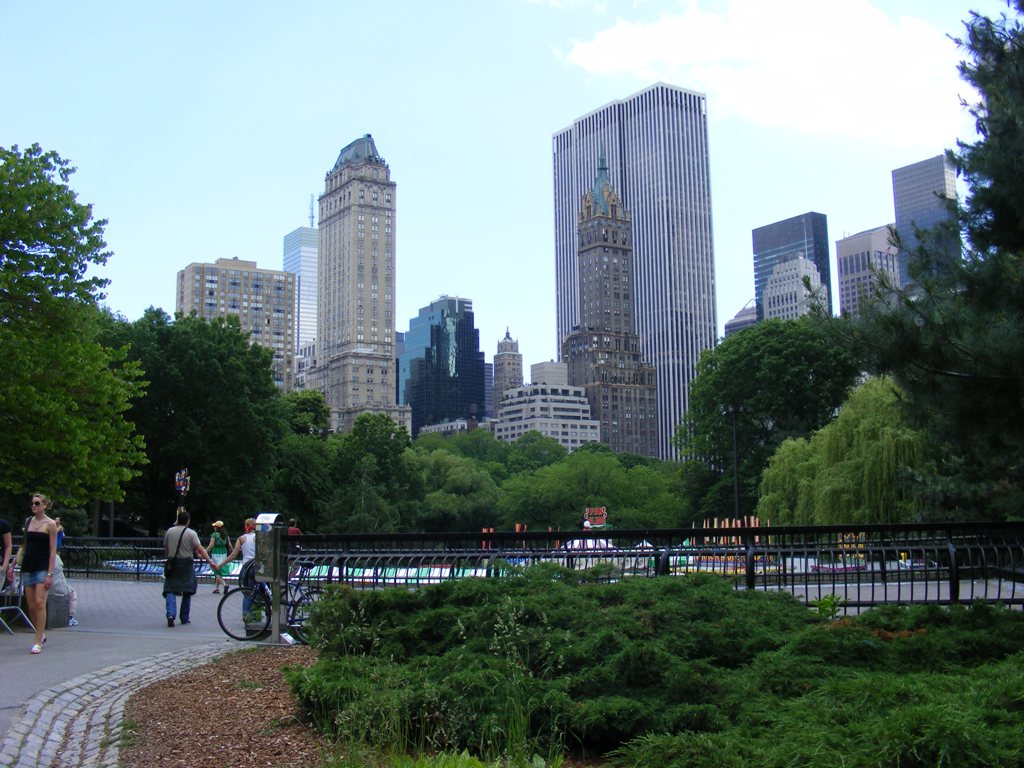 Central Park in summertime