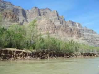 Boat ride along the Colorado River.
