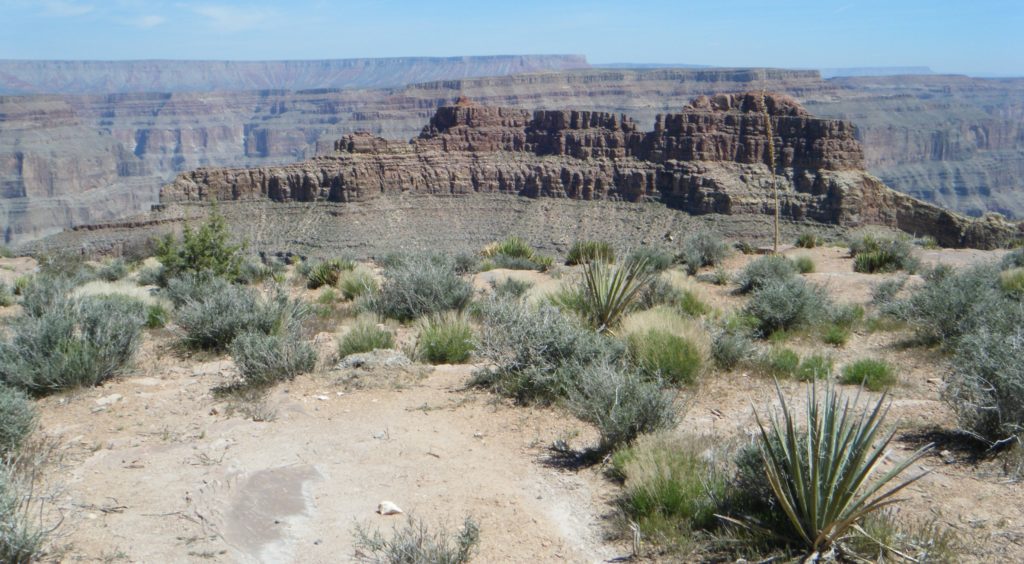 Grand Canyon, Arizona