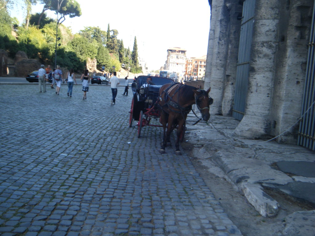 Horse drawn carriage outside the Colosseum