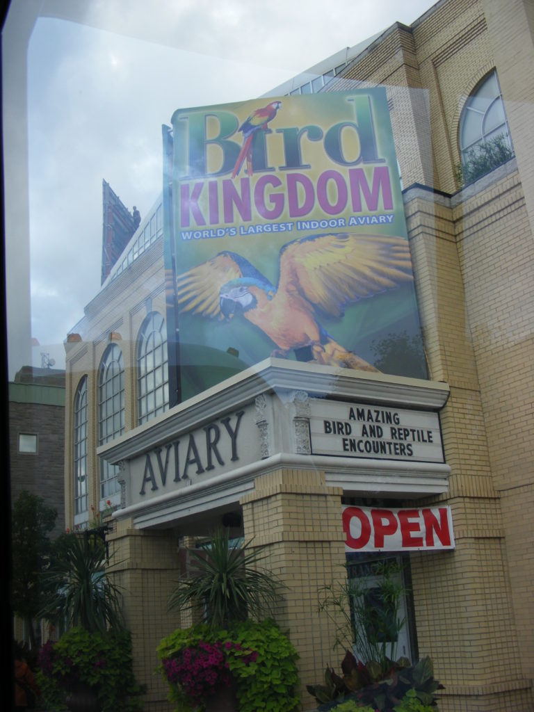 Niagara Bird Kingdom