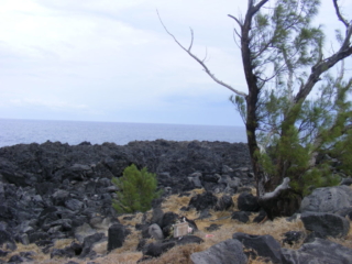 Ile de la Réunion