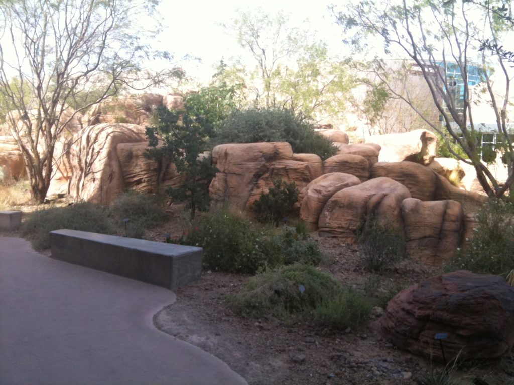 Springs Preserve, Mojave Desert