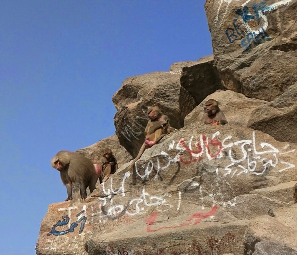 Jabal an-Nur