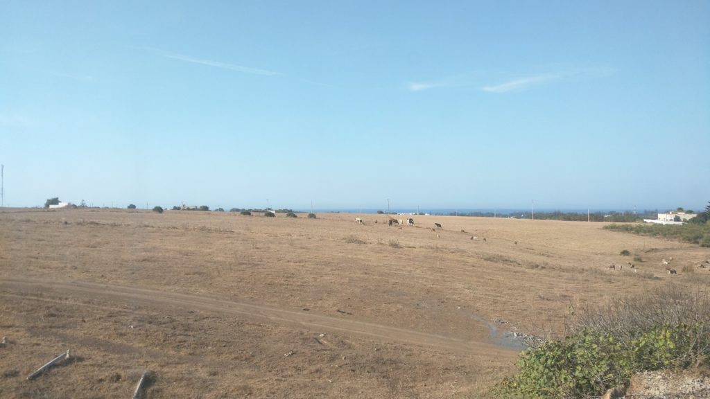 Moroccan countryside on the way to Fes.