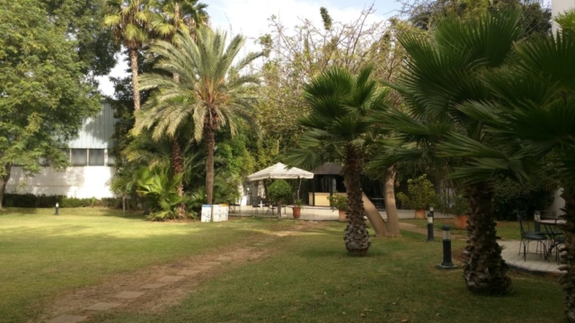 Ibis Hotel Rabat gardens.