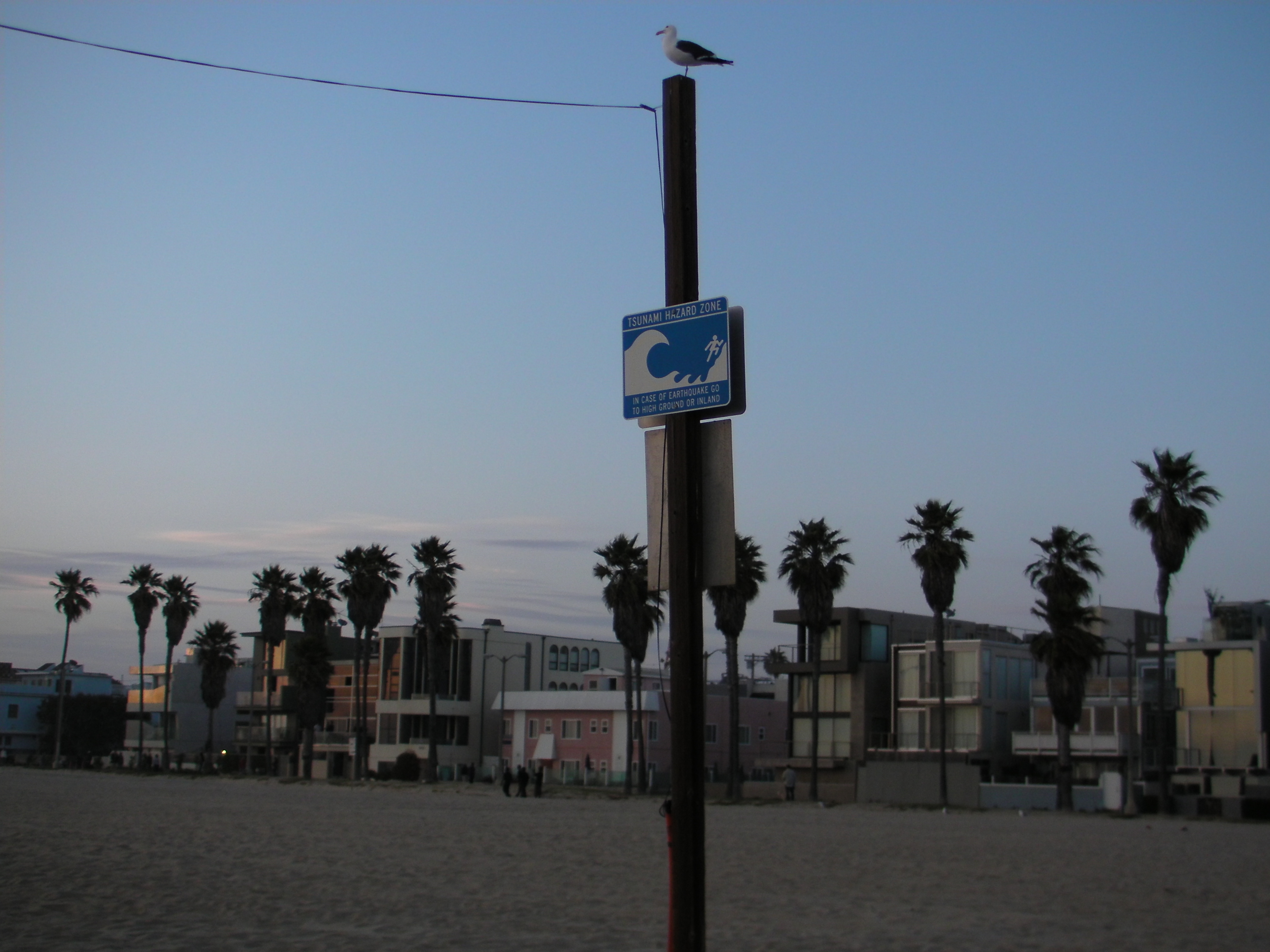Tsunami Warning, Venice Beach, Los Angeles