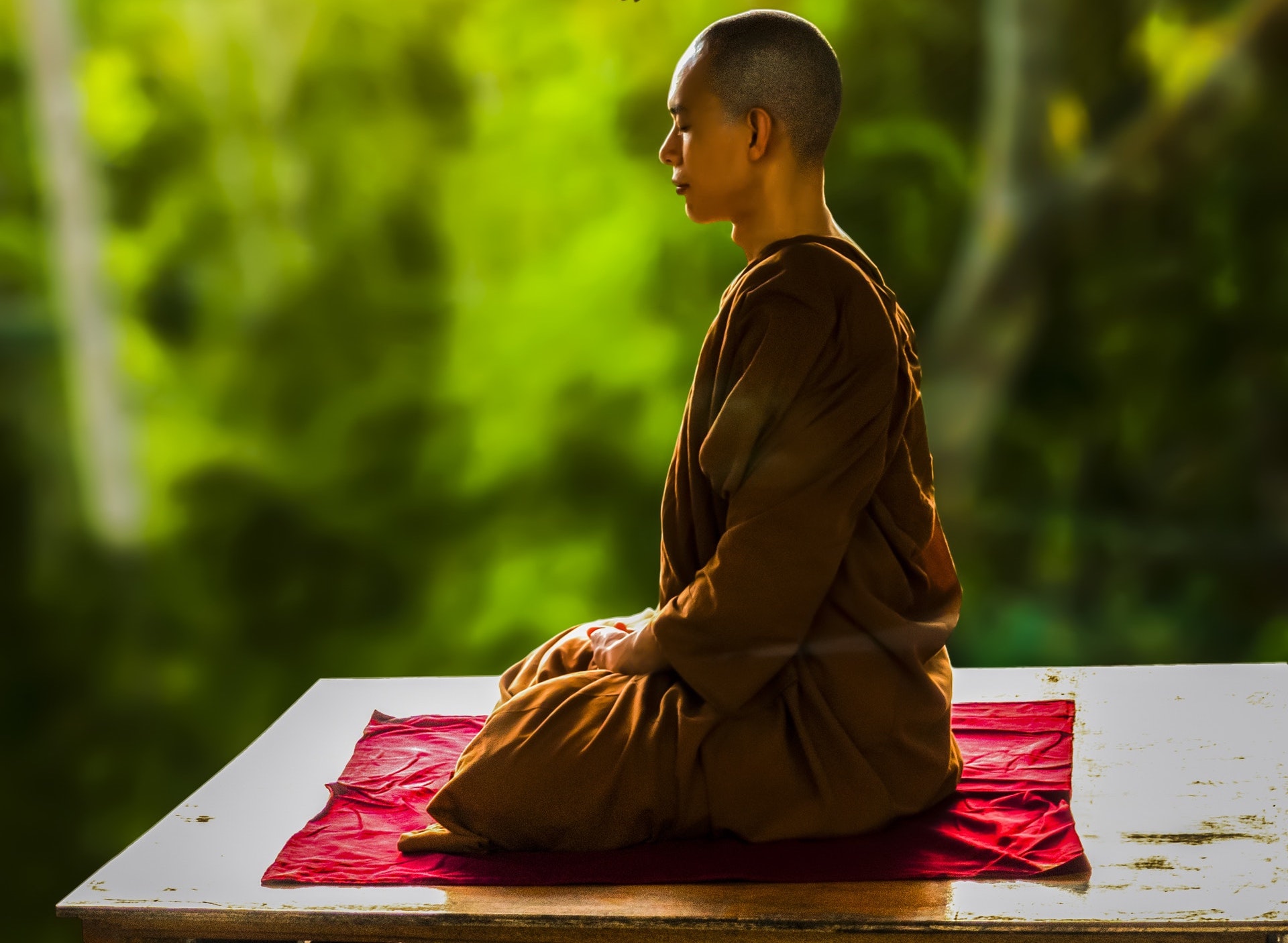 Все в кучу новое видео дзен. Випассана Гоенка. Будда Випассана. Медитация монах. Дзен медитация.
